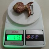 Goldfish vintage belt buckle – on scale showing weight